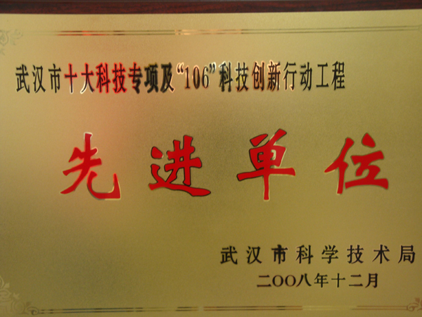 2008年武汉市十大科技专项及“106”科技创新行动工程先进单位（奖牌）.JPG